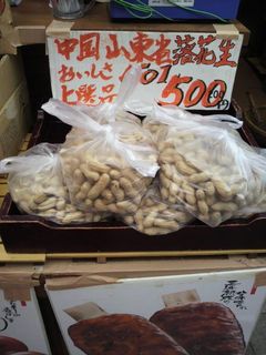 kakegawa4.jpg