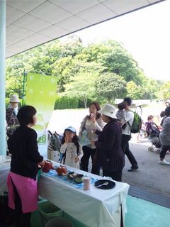 tumagoi1.jpg