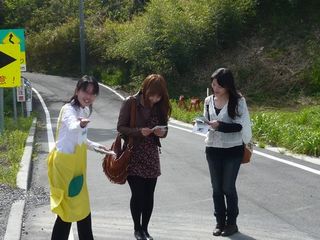 working7.jpg